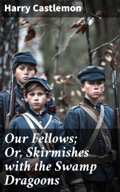 Our Fellows; Or, Skirmishes with the Swamp Dragoons