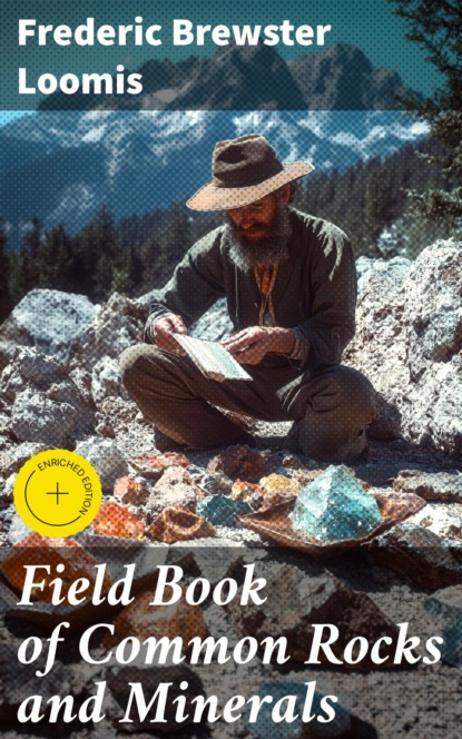 Field Book of Common Rocks and Minerals