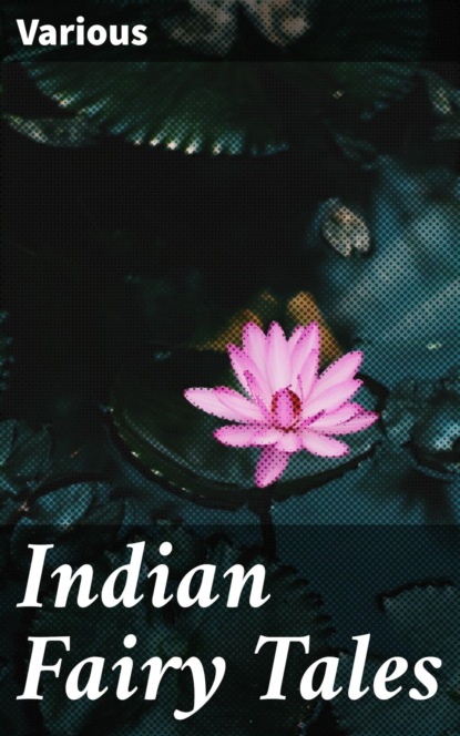Indian Fairy Tales