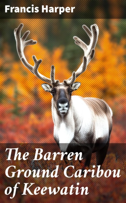 The Barren Ground Caribou of Keewatin