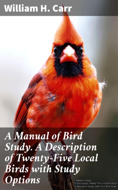 A Manual of Bird Study. A Description of Twenty-Five Local Birds with Study Options