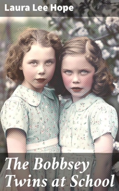 The Bobbsey Twins at School