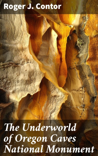 The Underworld of Oregon Caves National Monument