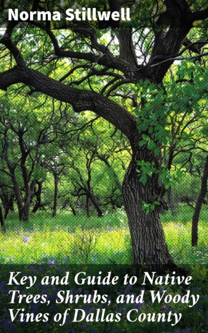 Key and Guide to Native Trees, Shrubs, and Woody Vines of Dallas County