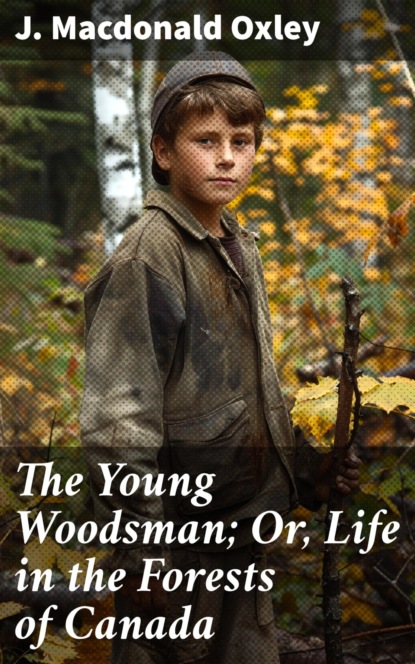 The Young Woodsman; Or, Life in the Forests of Canada