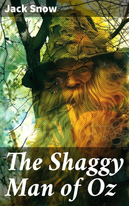 The Shaggy Man of Oz
