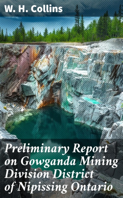 Preliminary Report on Gowganda Mining Division District of Nipissing Ontario