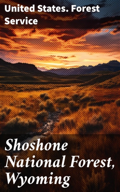 Shoshone National Forest, Wyoming