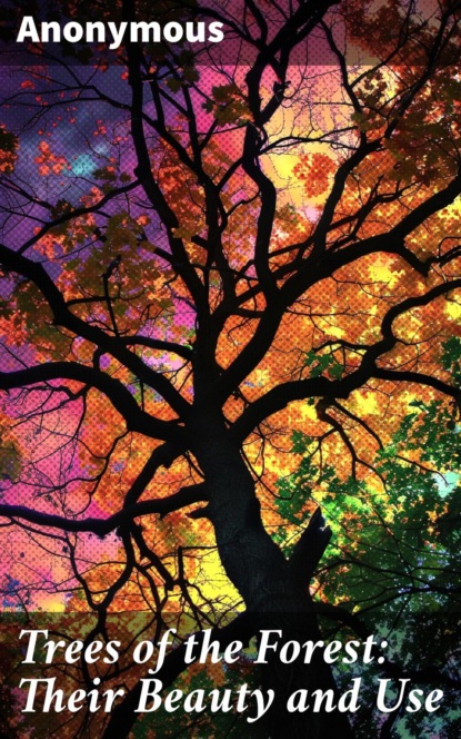 Trees of the Forest: Their Beauty and Use