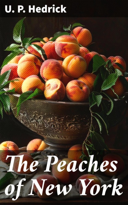 The Peaches of New York