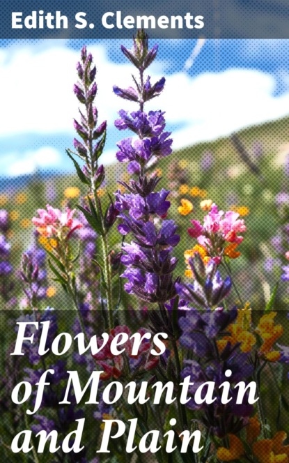 Flowers of Mountain and Plain