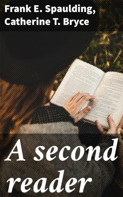 A second reader