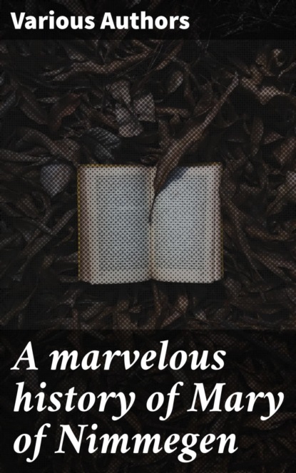 A marvelous history of Mary of Nimmegen