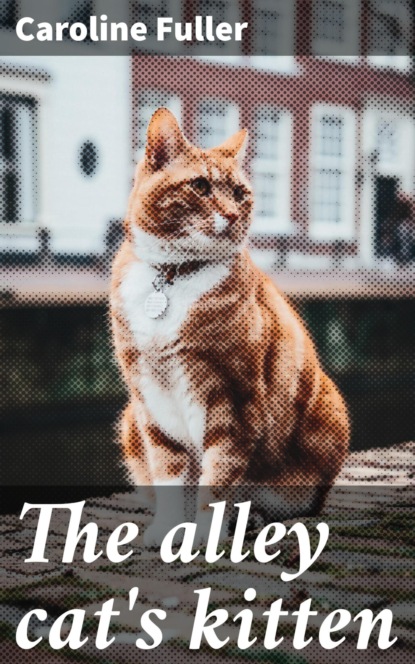 The alley cat's kitten