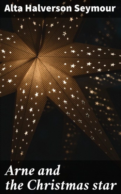 Arne and the Christmas star