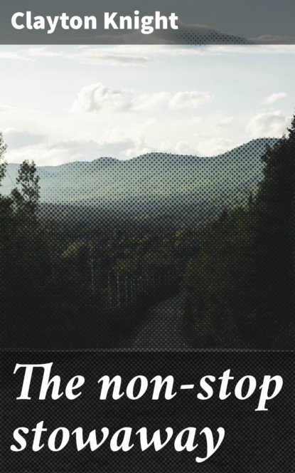 The non-stop stowaway