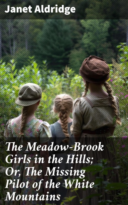The Meadow-Brook Girls in the Hills; Or, The Missing Pilot of the White Mountains