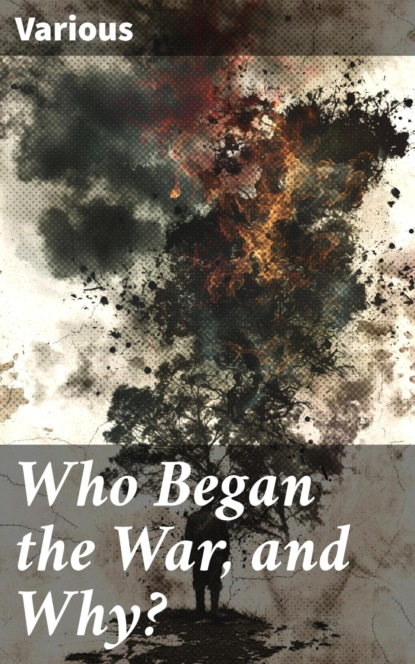 Who Began the War, and Why?