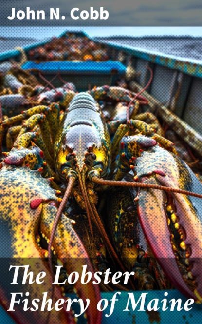 The Lobster Fishery of Maine