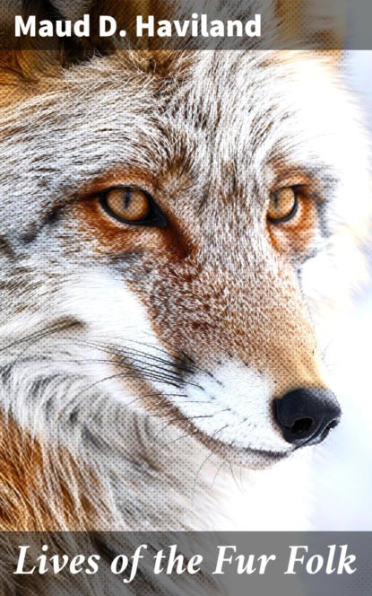 Lives of the Fur Folk