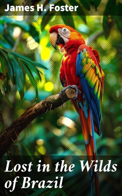 Lost in the Wilds of Brazil