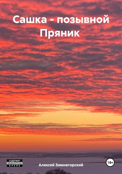 

Сашка – позывной Пряник