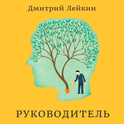 Дмитрий Лейкин — Руководитель