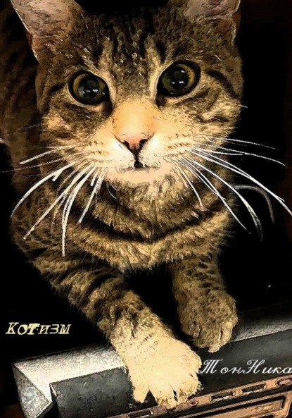 

Котизм