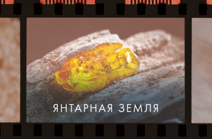 Латвия. Первые исторические сведения о янтарной земле