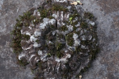 "Орнаменты и украшения". Историк о современной латвийской археологии