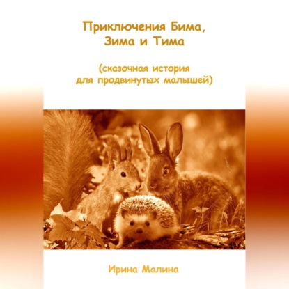 Ирина Малина — Приключения Бима, Зима и Тима. Сказочная история для продвинутых малышей