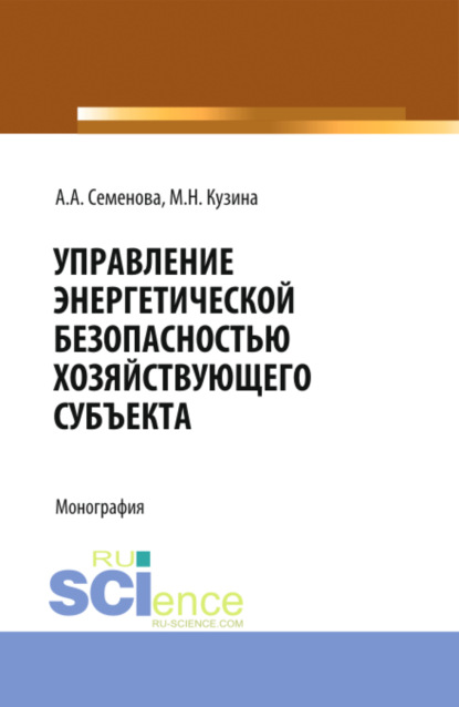 

Управление энергетической безопасностью хозяйствующего субъекта. (Бакалавриат, Магистратура). Учебно-методическое пособие.