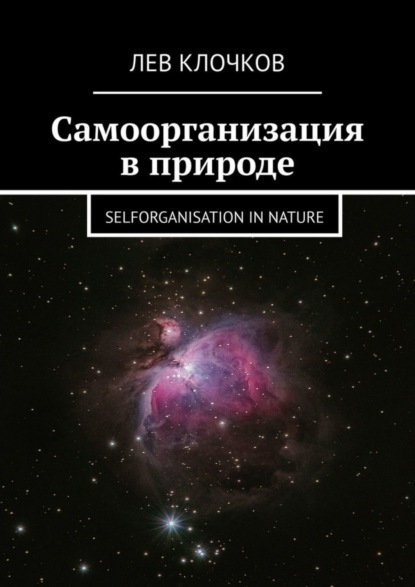 Лев Вячеславович Клочков — Самоорганизация в природе. Selforganisation in Nature