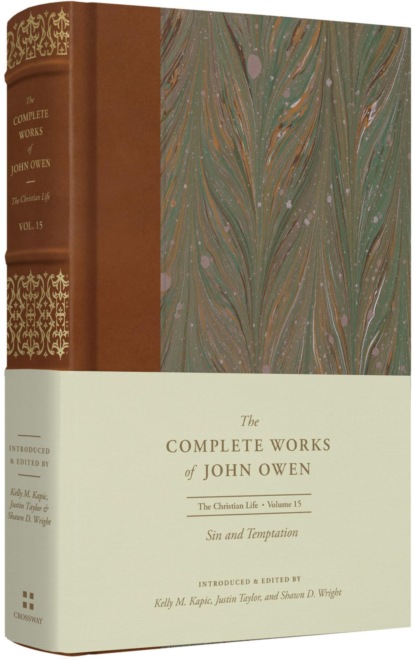 Sin and Temptation (Volume 15)