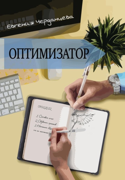 

Оптимизатор