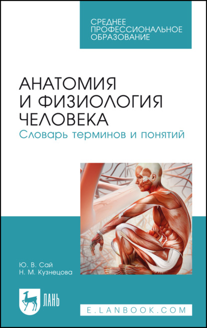 Н. М. Кузнецова — Анатомия и физиология человека. Словарь терминов и понятий