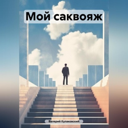 

Мой саквояж