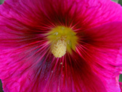 Урок для женщин. Женщины в ТаНаХе. Урок 37. Жены царя Давида: Батшева