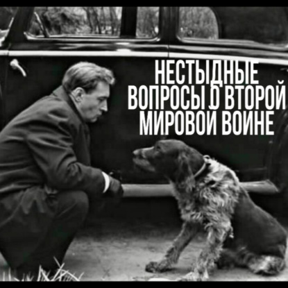 Анонс подкаста "Нестыдные вопросы о Второй Мировой войне"