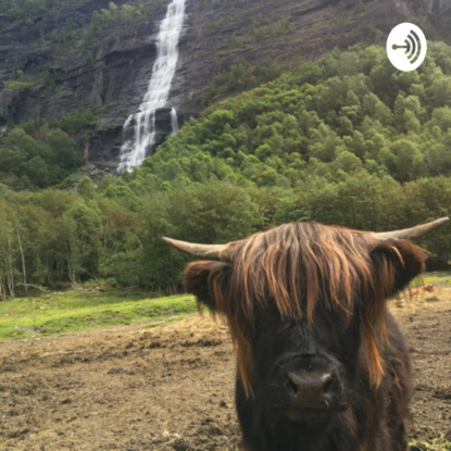 Мышка вувыльту