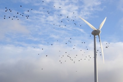 Солнечные панели и ветрогенераторы: как сделать правильный выбор?