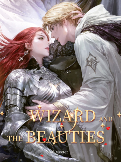 Wizard and the Beauties I