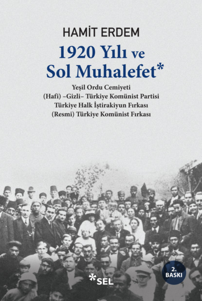 Hamit Erdem — 1920 Yılı ve Sol Muhalefet