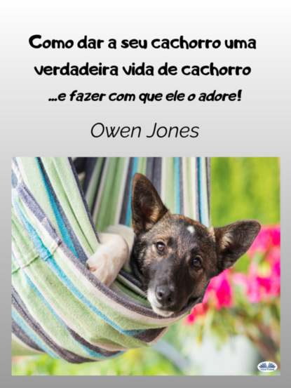 Como dar a seu cachorro uma verdadeira vida de cachorro