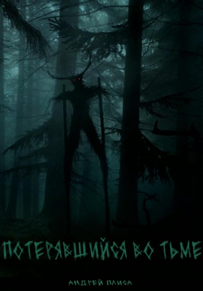 

Потерявшийся во тьме