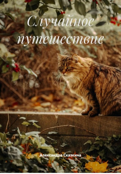 

Случайное путешествие