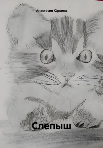 Обложка книги Слепыш, Анастасия Юркина