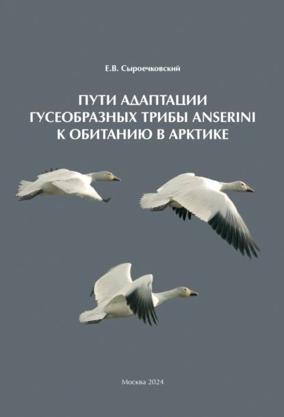 Обложка книги Пути адаптации Гусеобразных трибы Anserini к обитанию в Арктике, Е. В. Сыроечковский