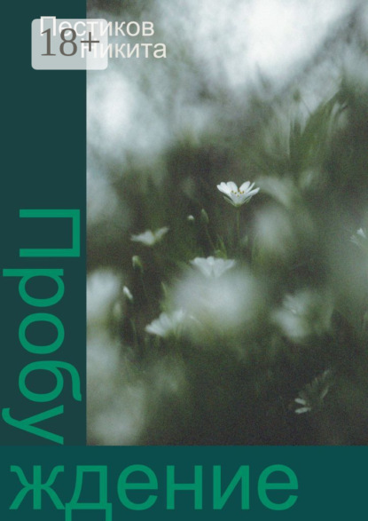 

Пробуждение