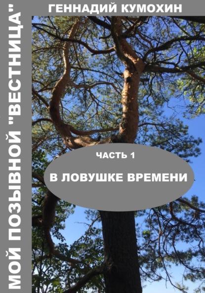 

Мой позывной «Вестница». Часть 1. В ловушке времени